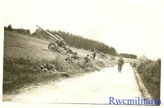 AT READY Wehrmacht sFH.  18 15cm Artillery Gun Batterie Set Up in Field by Road 2