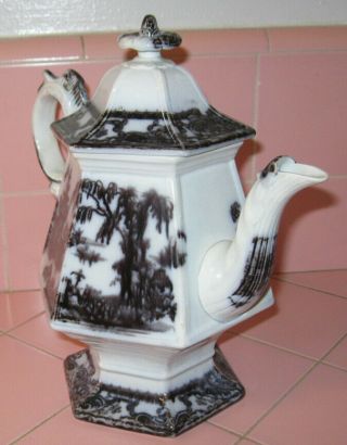 Antique 1850s Mulberry Corean Coffee Tea Pot Podmore Walker England Cockscomb 3