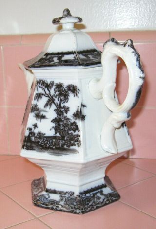 Antique 1850s Mulberry Corean Coffee Tea Pot Podmore Walker England Cockscomb 7
