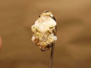 Vintage Natural Gold Nugget With Quartz On 10k Gold Stick Pin 3.  2 Grams