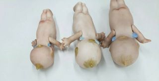 3 Vintage Rose O’Neill Bisque Kewpie Dolls w/Poseable Arms Blue Wings One Signed 8