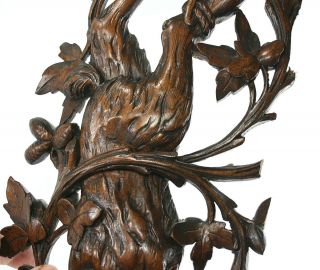 Antique c 1860 Black Forest Mahogany Carved Rabbit Hare not bear Hanging 3