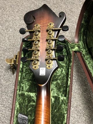 Washburn M118SWK Vintage F - Style Mandolin with Case,  Distressed Matte Finish 7