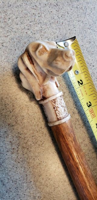 Antique Carved Hunting Dog Head Walking Cane Stick Very Detailed