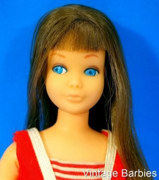 VERY RARE Re - Issue Brunette Skipper Doll 950 W/OSS NM VHTF Vintage 1960 ' s 2