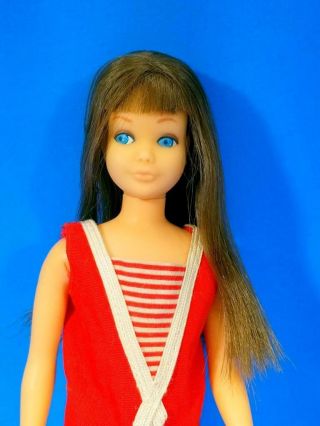 VERY RARE Re - Issue Brunette Skipper Doll 950 W/OSS NM VHTF Vintage 1960 ' s 4