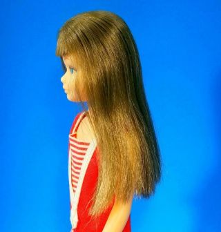 VERY RARE Re - Issue Brunette Skipper Doll 950 W/OSS NM VHTF Vintage 1960 ' s 5