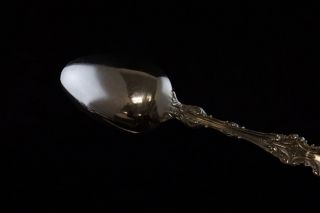 Whiting Division Lily Sterling Silver Serving Spoon 4
