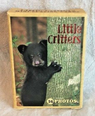 Little Critters Playing Cards By Impact Mini Playing Cards Animals Fun Look Xmas