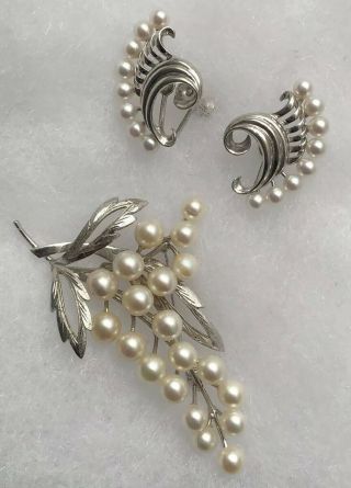 (inv 113) - Rare Gorgeous Earrings And Brooch - Mikimoto