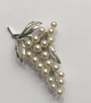 (INV 113) - RARE GORGEOUS EARRINGS AND BROOCH - MIKIMOTO 2