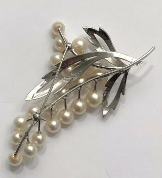 (INV 113) - RARE GORGEOUS EARRINGS AND BROOCH - MIKIMOTO 3