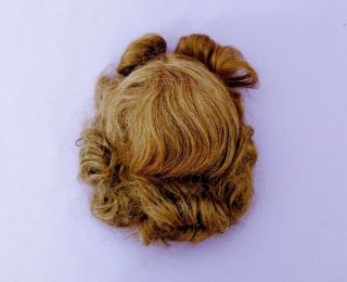 ANTIQUE HUMAN HAIR DOLL WIG 1930s - 40s c1950 3