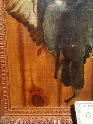 Rare 1880s Trompe L ' Oeil Nature Still Life oil painting on canvas Wow 5