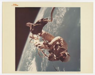 Ed White Gemini 4 Spacewalk Vintage Nasa Numbered Glossy Photo