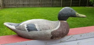 Benz Factory Mallard Drake Duck Decoy