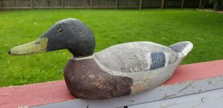 Benz Factory Mallard Drake Duck Decoy 2