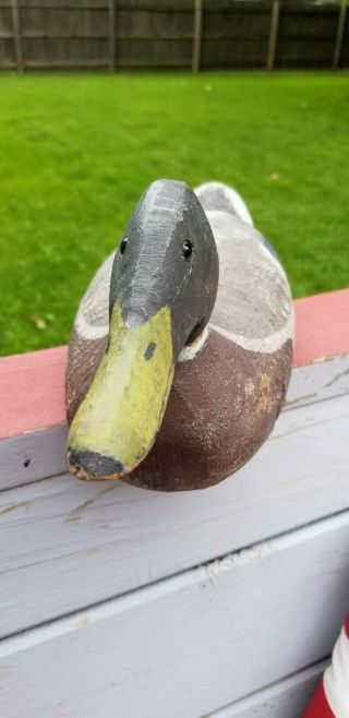 Benz Factory Mallard Drake Duck Decoy 3