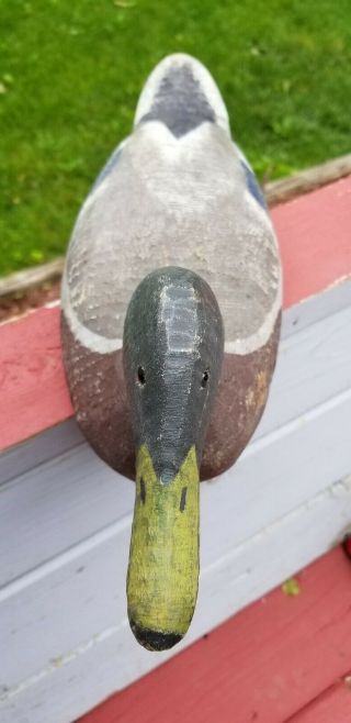 Benz Factory Mallard Drake Duck Decoy 4