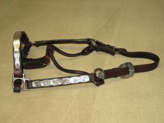 Top Quality Fantastic Vintage Western Horse Size Sterling Silver Show Halter