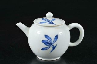 S1278: Japanese Kiyomizu - Ware Flower Pattern Teapot Kyusu Sencha,  Shunpo Made