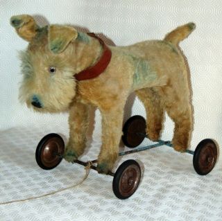 Old Fantasitc Steiff Foxterrier Dog On Wheels 17 Inches Beige &grey Bleu