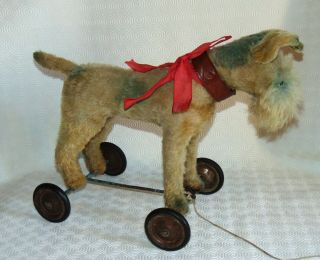 OLD FANTASITC Steiff FoxTerrier dog on wheels 17 inches beige &grey bleu 2