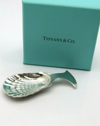 Rare Tiffany & Co Sterling Silver Clamshell Christening Baptism Spoon