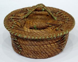 The Finest Authentic Native American Indian Antique Coiled Pine Needle Basket