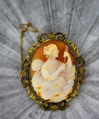 Large Antique Shell Cameo Brooch Pin Carved In Italy Pinch Beck Gold 1850s