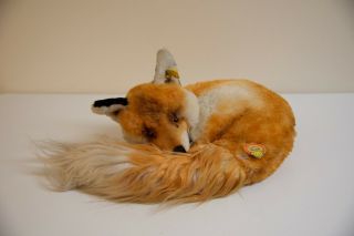 Vintage Steiff Fox With Button And Tags,  Lying Down In Curl,  Long Hair On Tail
