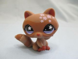 Littlest Pet Shop Raccoon Brown With Purple Eyes Flowers 543 Authentic Lps