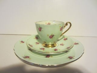 Vintage Shelley Chintz Trio Plate Cup Saucer Humes Rose Ripon Shape Green