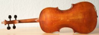 Very old labelled Vintage violin 