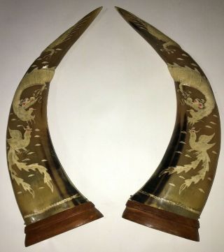 Pair Vintage Asian Carved Ox Horn Statue With Dragons And Roosters 20 " S&h