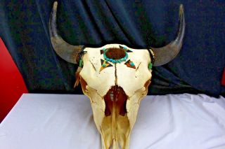 Vintage Steer/cow Skull Decorated Taxidermy Bones And Horns Turquoise Leather