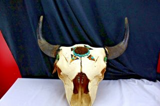 Vintage Steer/Cow Skull Decorated Taxidermy Bones and Horns Turquoise Leather 2