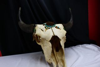 Vintage Steer/Cow Skull Decorated Taxidermy Bones and Horns Turquoise Leather 4