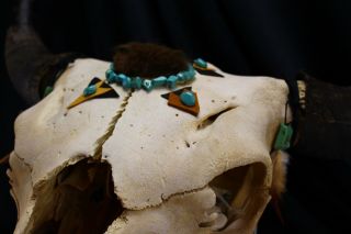 Vintage Steer/Cow Skull Decorated Taxidermy Bones and Horns Turquoise Leather 5