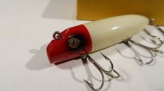 Schoenfeld Gutter BOXED Dowagiac Minnows Lure Seagull Glass Eyes 5