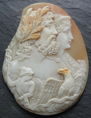 Antique Victorian Carved Shell Cameo Man Lady Bird Jewellery Spare Repair - R327