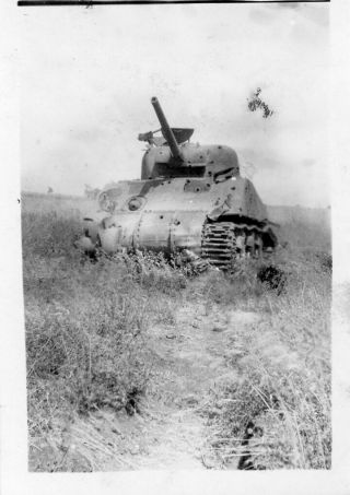 Org Wwii Photo: Ko’d American Sherman Tank In Field - Eto France