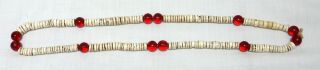 Antique Columbia Plateau Nez Perce Indian Shell Red Glass Trade Bead Necklace