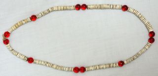 Antique Columbia Plateau Nez Perce Indian Shell Red Glass Trade Bead Necklace 2