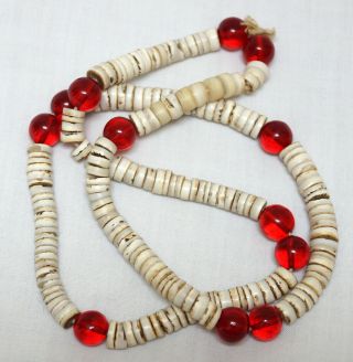 Antique Columbia Plateau Nez Perce Indian Shell Red Glass Trade Bead Necklace 3