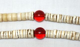 Antique Columbia Plateau Nez Perce Indian Shell Red Glass Trade Bead Necklace 5