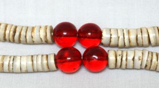 Antique Columbia Plateau Nez Perce Indian Shell Red Glass Trade Bead Necklace 6