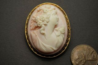 Lovely Antique 9k Gold Carved Pink Conch Shell Floral Cameo Brooch C1900 $1 Nres