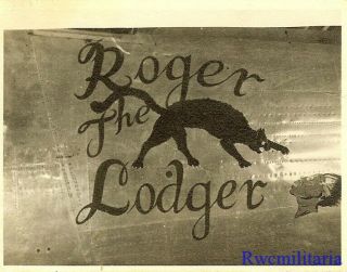 Org.  Nose Art Photo: B - 24 Bomber " Roger The Lodger "