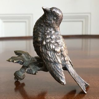 An Antique Victorian Silver Plated Bird Mount With Registration Mark,  C.  1880.